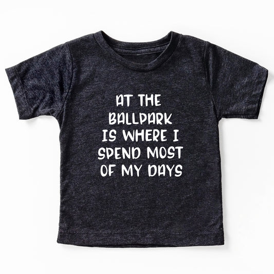 At the Ballpark is Where I spend Most of my Days Youth T-Shirt
