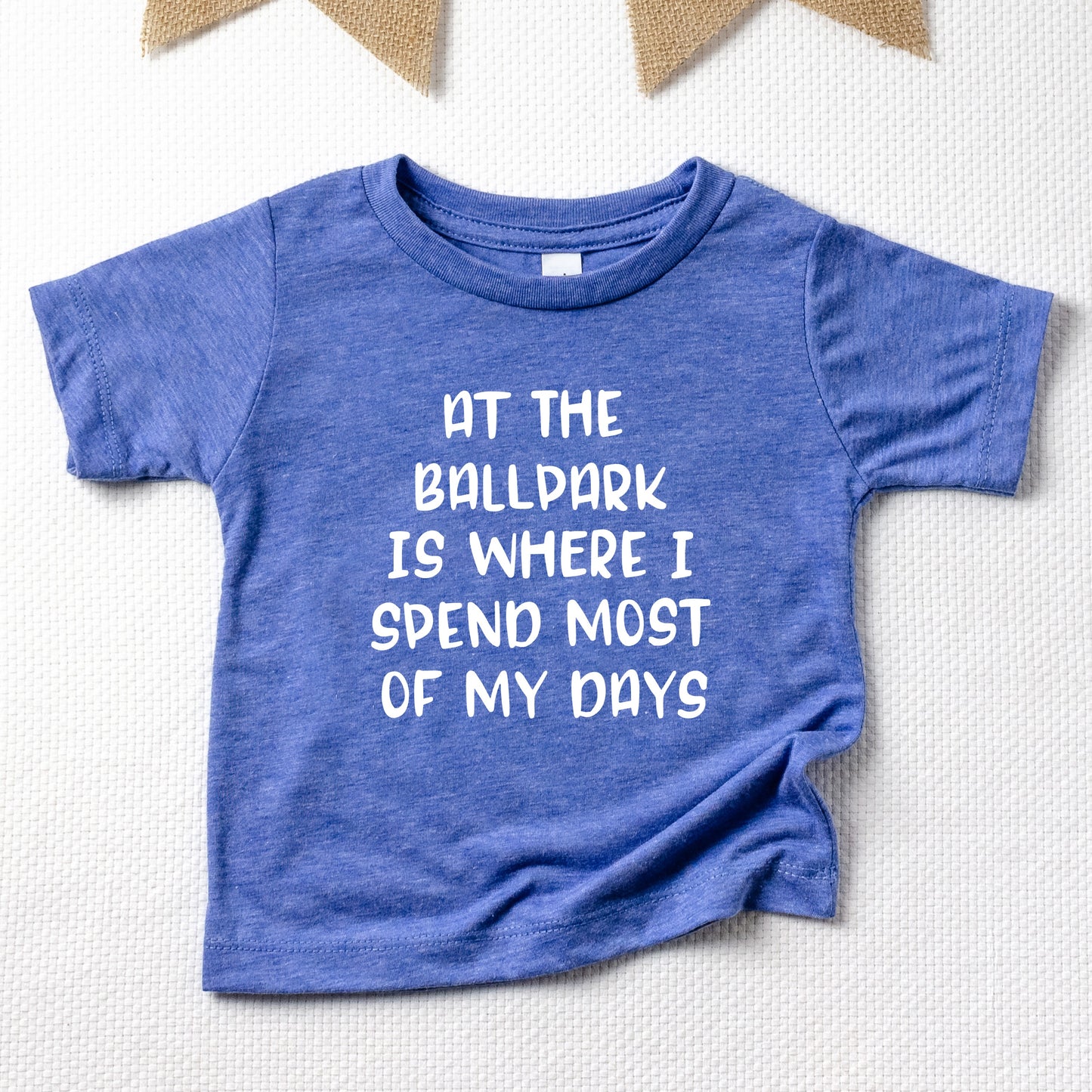 At the Ballpark is Where I spend Most of my Days Youth T-Shirt