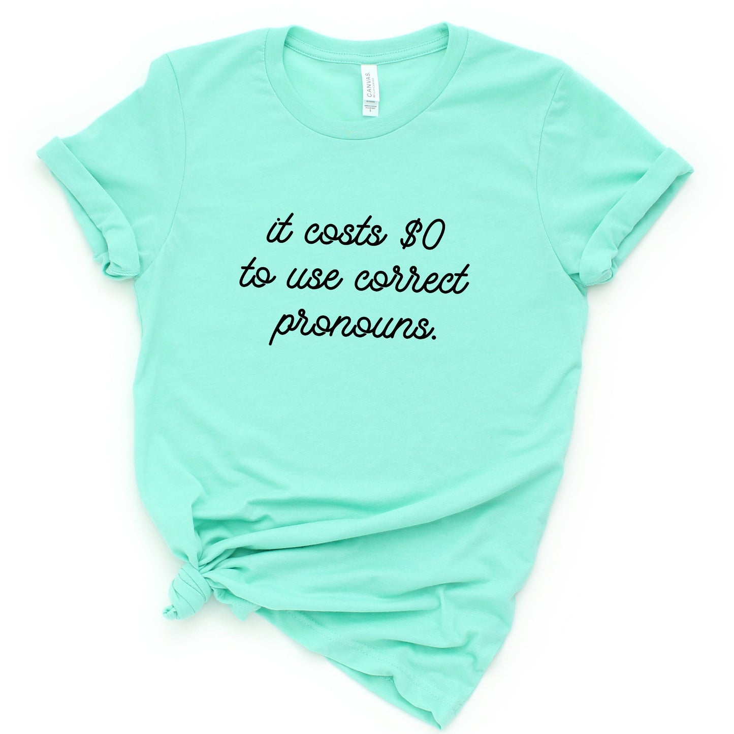 It Costs $0 to Use Correct Pronouns T-Shirt