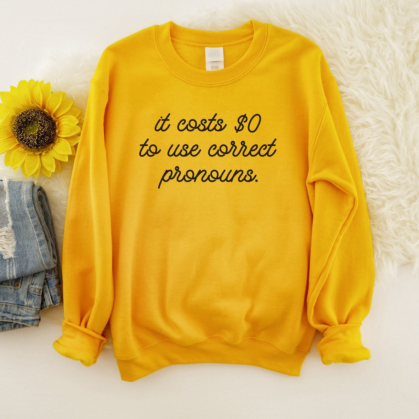 It Costs $0 to Use Correct Pronouns Sweatshirt