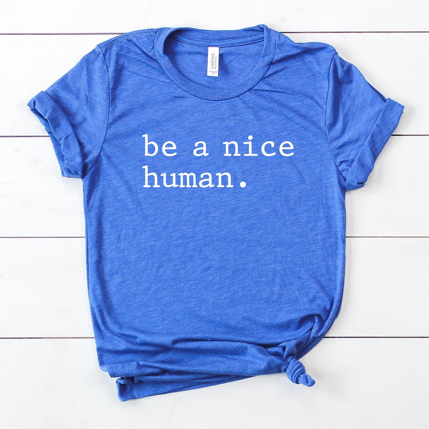 Be a Nice Human T-Shirt