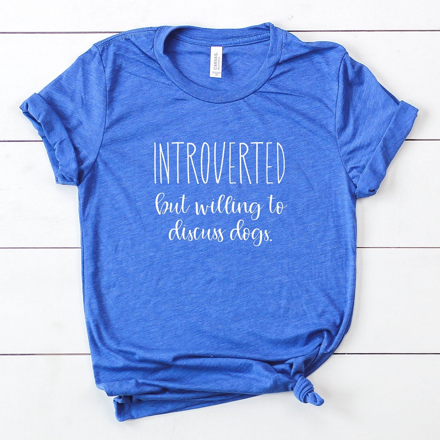 Introverted but Willing to Discuss Dogs T-Shirt