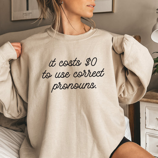 It Costs $0 to Use Correct Pronouns Sweatshirt